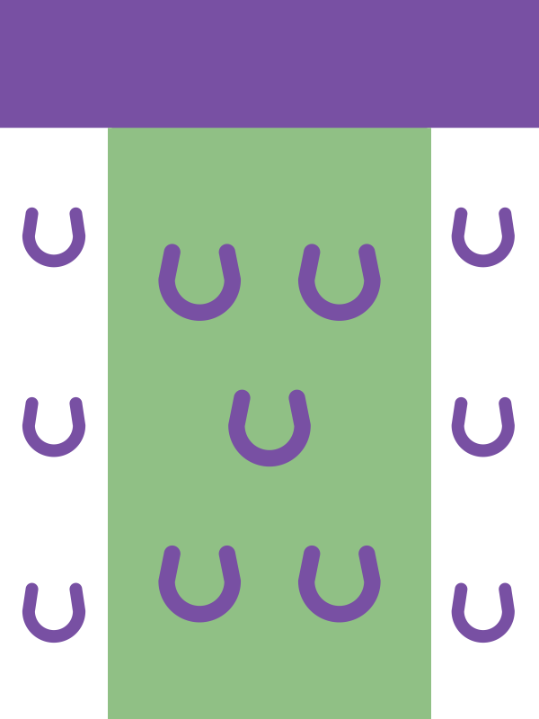 Snitzel silk